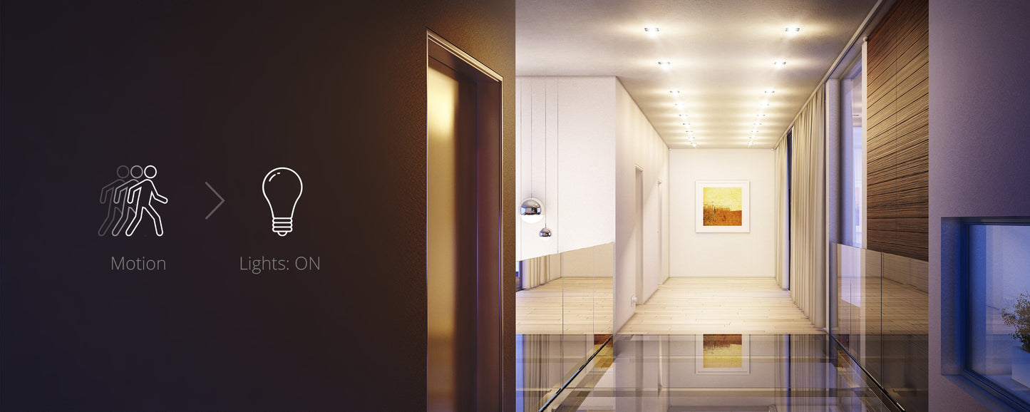 Fibaro Bewegungsmelder (Motion Sensor)