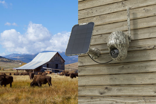 ReoLink Kamera Go Ranger PT